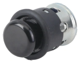 Auto Cigarette Lighter